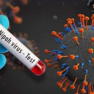 New Nipah Death Reported in Palakkad; Kerala Issues Alert in Six Districts