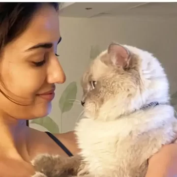 Disha Patani’s Typical Morning Routine With Her Cat Appeared As Follows