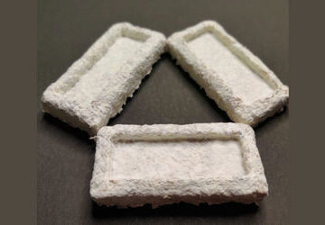 iit-madras’-new-agri-waste-based-packaging-material-to-help-reduce-plastic-use