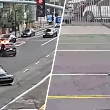 Indian-Origin Man Shot Dead by Police in Los Angeles After Wielding Machete