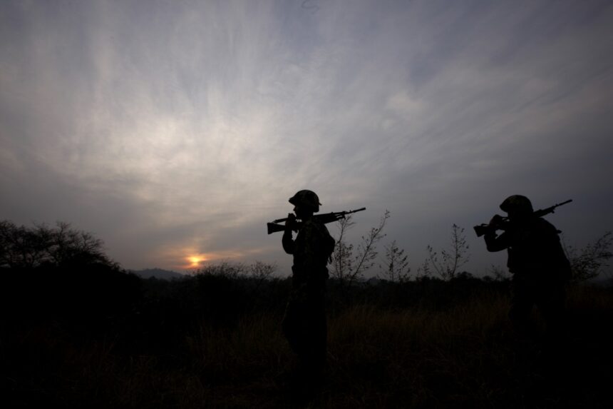 BSF Apprehends Pakistani Intruder in R S Pura Sector, Protest Lodged with Islamabad