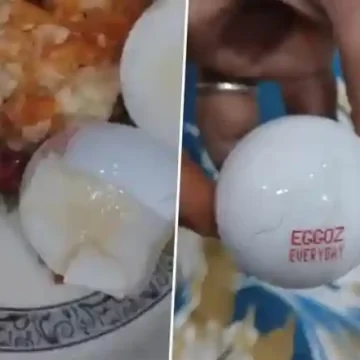 Lucknow Woman Spots Plastic Inside Eggs Delivered via Blinkit, Video Sparks Outcry